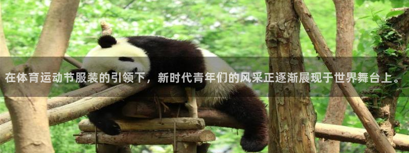 三亿体育登录：在体育运动节服装的引领下，新时代青年们的风采正逐渐展现于世界舞台上。