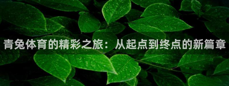 三亿体育：青兔体育的精彩之旅：从起点到终点的新篇章