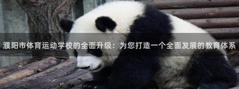 三亿体育网页版：濮阳市体育运动学校的全面升级：为您打造一个全面发展的教育体系