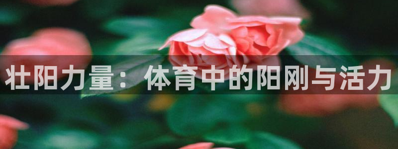 三亿体育网：壮阳力量：体育中的阳刚与活力