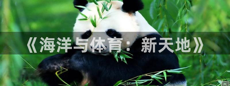 三亿体育：《海洋与体育：新天地》