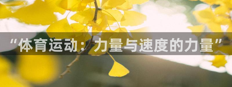 三亿体育网：“体育运动：力量与速度的力量”