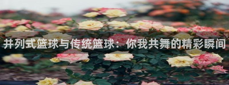 三亿体育登录：并列式篮球与传统篮球：你我共舞的精彩瞬间