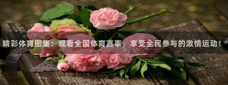 三亿体育：精彩体育图集：观看全国体育赛事，享受全民参与的激情运动！