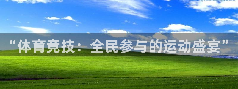 三亿体育网页版：“体育竞技：全民参与的运动盛宴”