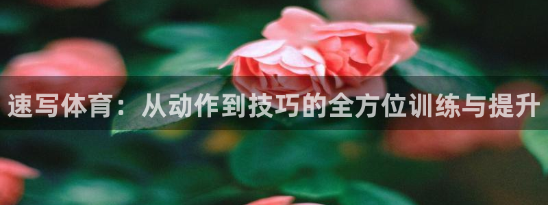 三亿体育登录：速写体育：从动作到技巧的全方位训练与提升